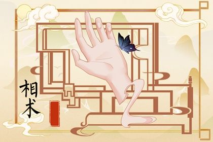 9个斗1个簸箕的手相 分析斗和簸箕哪个好 9个斗1个簸箕的手相 分析斗和簸箕哪个好