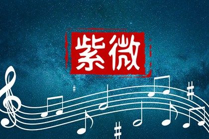 紫微斗数看女命事业 女命事业运爆棚的紫微斗数 紫微斗数看女命事业 女命事业运爆棚的紫微斗数