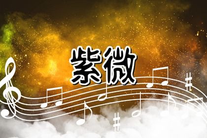 紫微斗数怎样看社交能力 紫微斗数观察社交能力的命宫 紫微斗数怎样看社交能力 紫微斗数观察社交能力的命宫