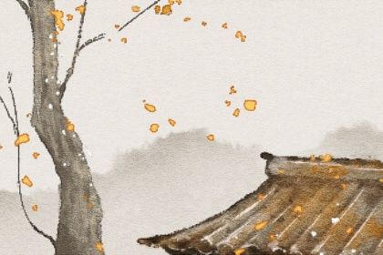 梅花易数方位用先天还是后天 梅花易数占卜先天数后天位 梅花易数方位用先天还是后天 梅花易数占卜先天数后天位