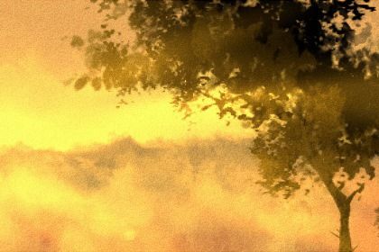 梅花易数测失物方位 梅花易数判断失物丢失的方位 梅花易数测失物方位 梅花易数判断失物丢失的方位