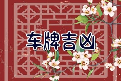 车牌号码最吉利的数字 车牌数字9转危为安 车牌号码最吉利的数字 车牌数字9转危为安