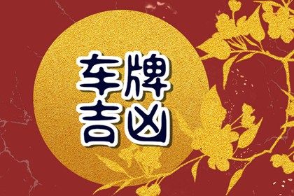 车牌号选什么号码好一点 对称号码重在平衡 车牌号选什么号码好一点 对称号码重在平衡
