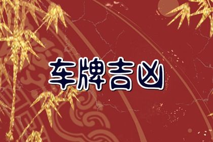 车牌号数字代表的意义 什么数字是好车牌号 车牌号数字代表的意义 什么数字是好车牌号